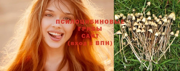 прущая мука Горно-Алтайск